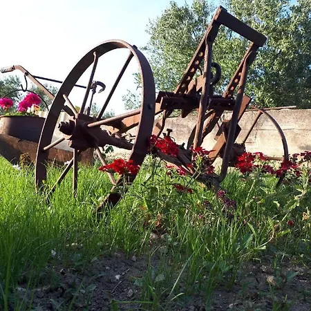 Apartment Smilje * Sibenik