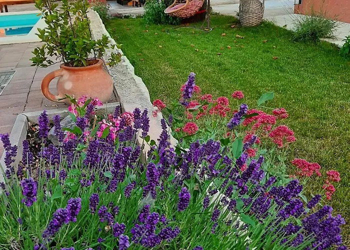 Apartment Apartment Smilje