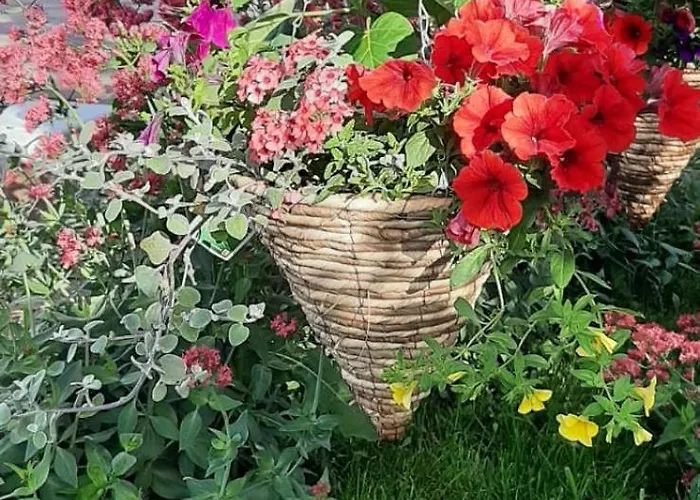 Apartment Smilje Apartment *