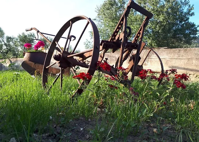 Apartment Smilje * Sibenik